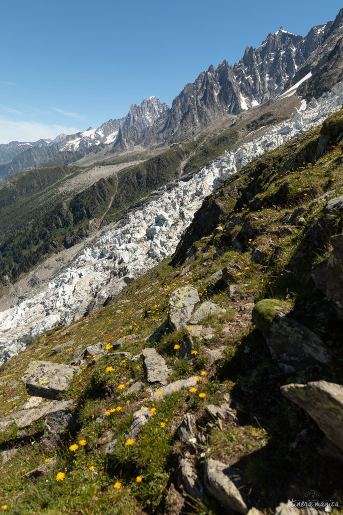 Que faire à chamonix ? La randonnée de la Jonction