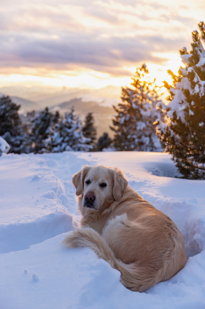 sunset hiver chamrousse