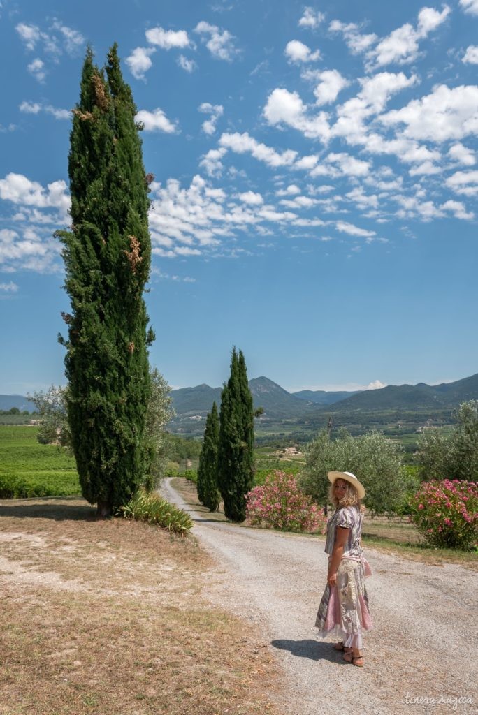 Die Ölbaum-Route in der Provence: entdecken Sie eine geheime, untouristische Provence, im Herzen des Naturparks der Baronnies provençales.