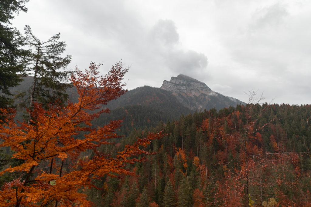 Voir l'automne en Chartreuse