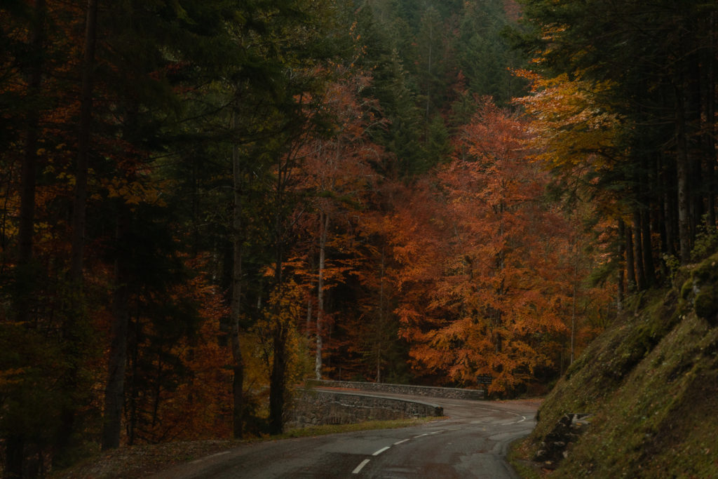 Voir l'automne en Chartreuse