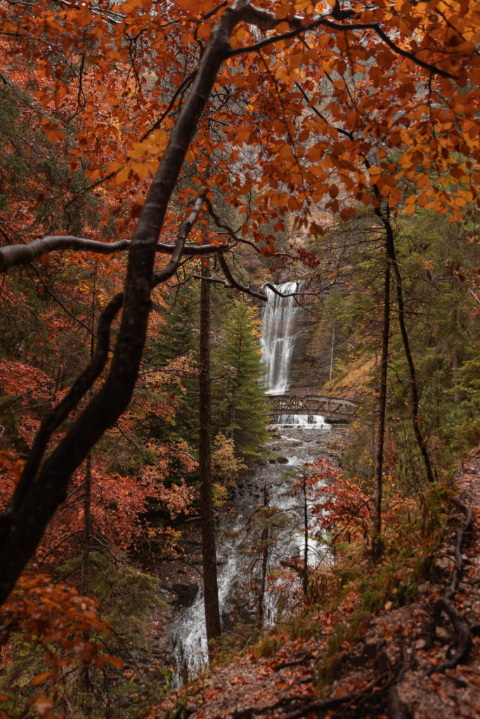 Voir l'automne en Chartreuse