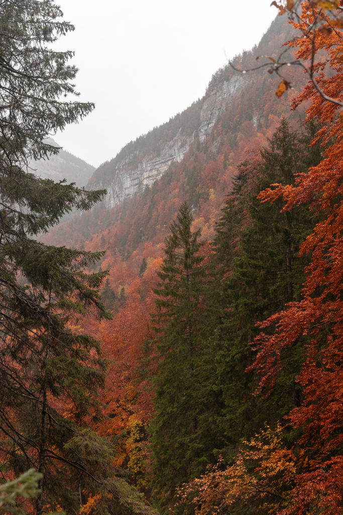 Voir l'automne en Chartreuse