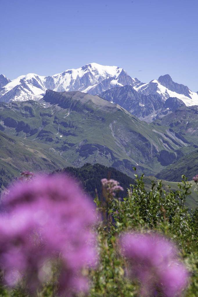 roche parstire beaufortain avec mon chien