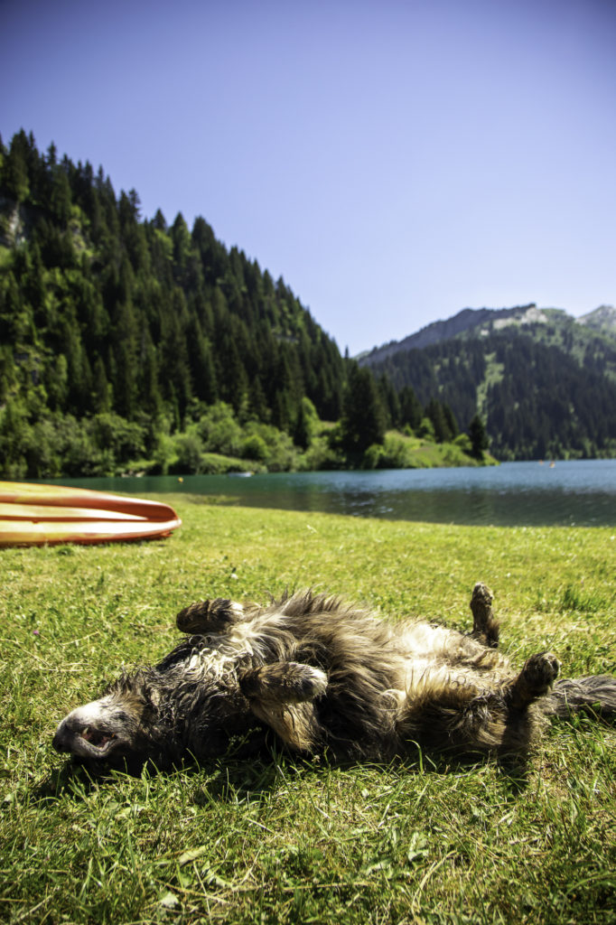 lac de saint guérin beaufortain avec mon chien