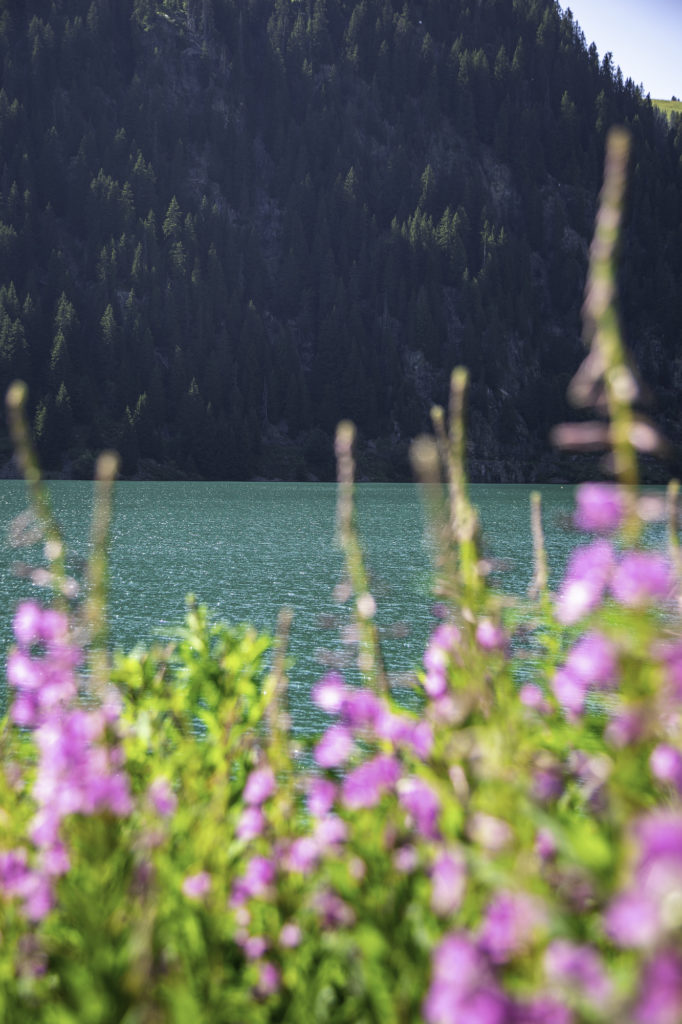 lac de saint guérin beaufortain avec mon chien