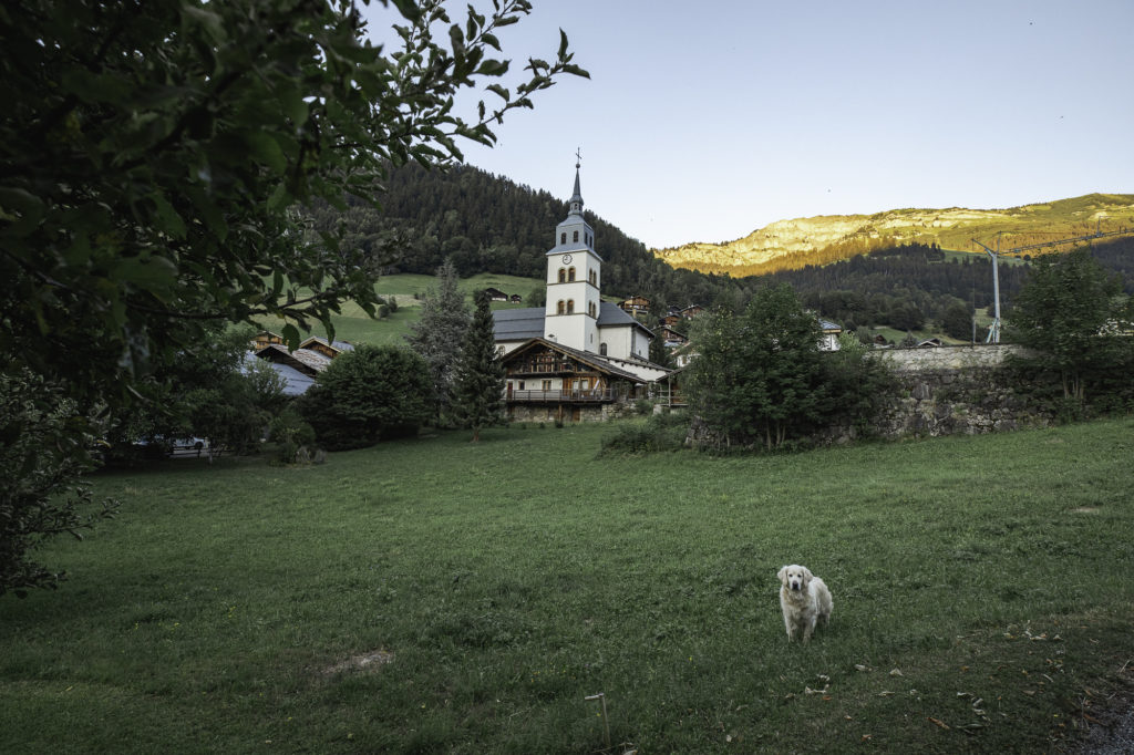 voyage arêches beaufort avec mon chien