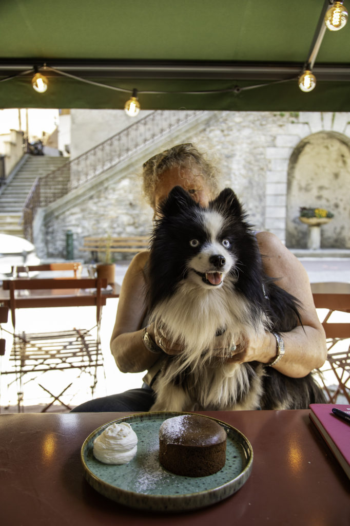 arêches beaufort avec mon chien : voyager avec mon chien dans le beaufortain