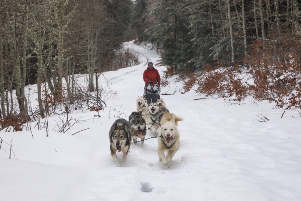 Que voir et que faire dans le Vercors drômois ? Vercors en hiver, randonnées raquettes