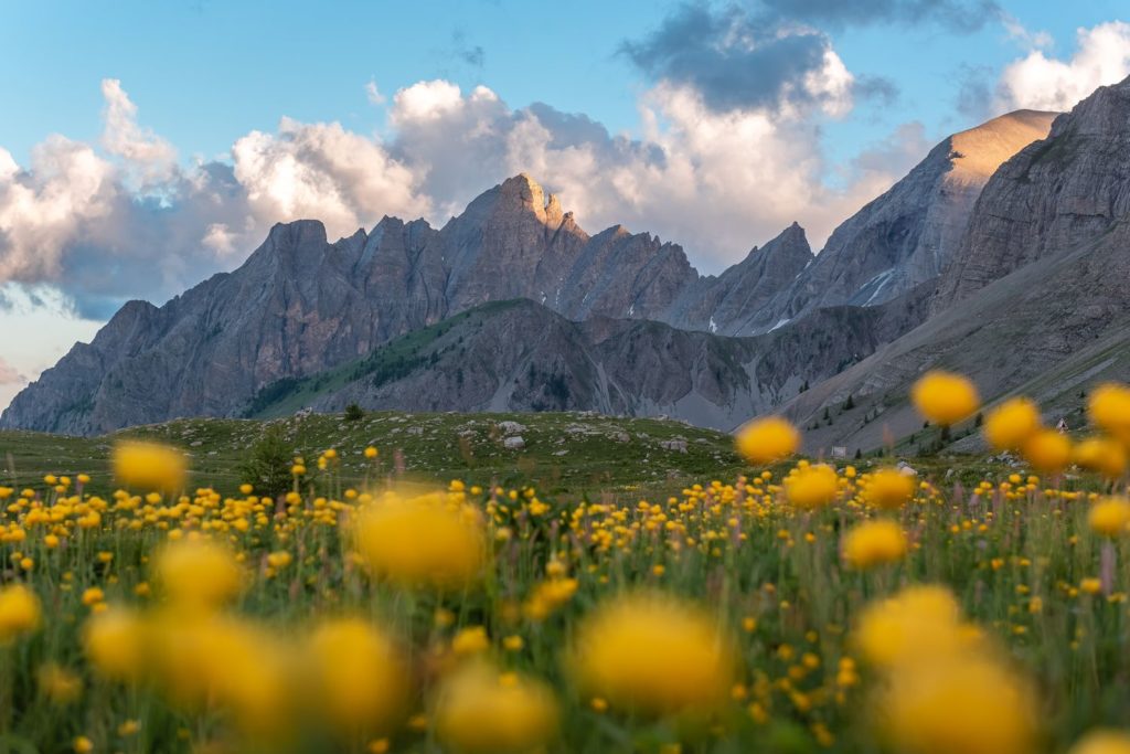 que faire à colmars les alpes