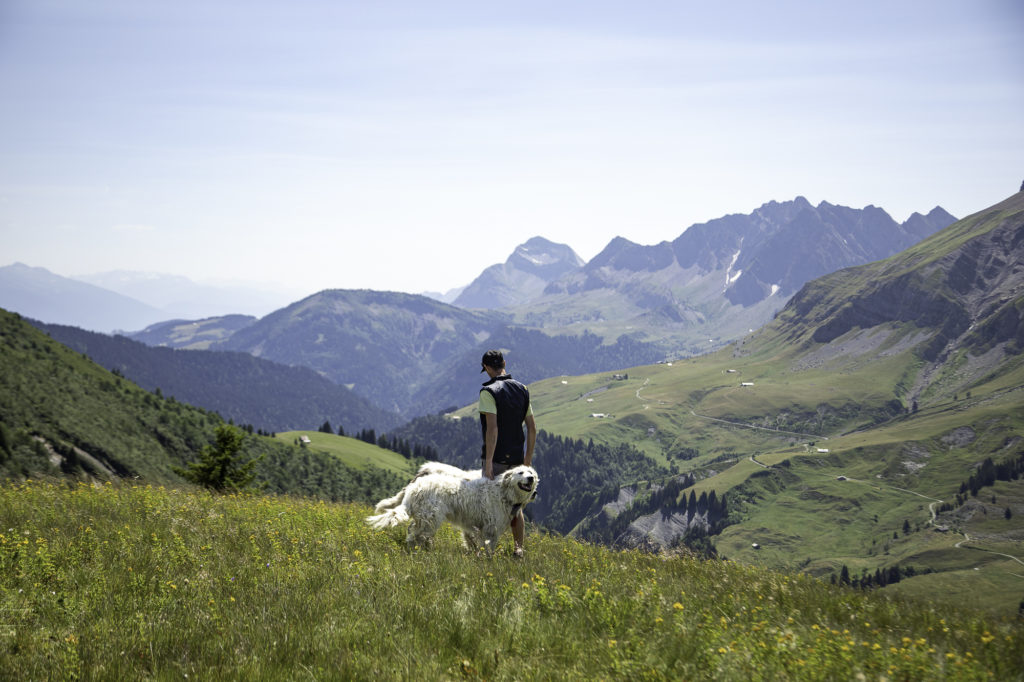 Rencontrer un chien de protection en randonnée: faut-il avoir peur des patous? Et si on randonne avec son chien? Un article ressource sur le pastoralisme.