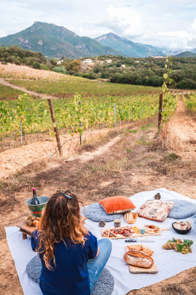Saveurs du terroir corse : artisans et producteurs du pays d'Ajaccio