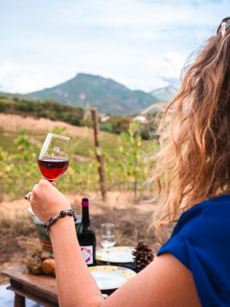 Saveurs du terroir corse : artisans et producteurs du pays d'Ajaccio