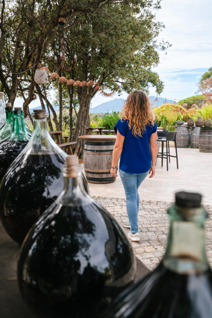 Saveurs du terroir corse : artisans et producteurs du pays d'Ajaccio