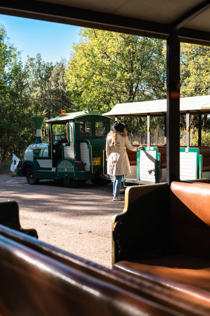 Voyager à Ajaccio à l'automne, entre mer et montagne, à la rencontre des artisans et producteurs : immersion dans le terroir corse et bonnes adresses!