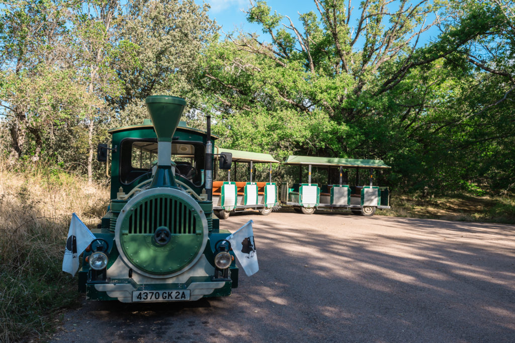 Voyager à Ajaccio à l'automne, entre mer et montagne, à la rencontre des artisans et producteurs : immersion dans le terroir corse et bonnes adresses!