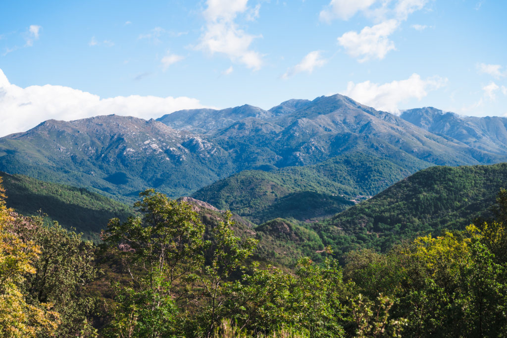Voyager à Ajaccio à l'automne, entre mer et montagne, à la rencontre des artisans et producteurs : immersion dans le terroir corse et bonnes adresses!