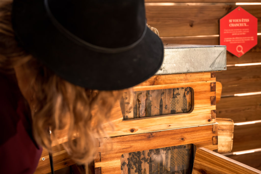 Saveurs du terroir corse : artisans et producteurs du pays d'Ajaccio