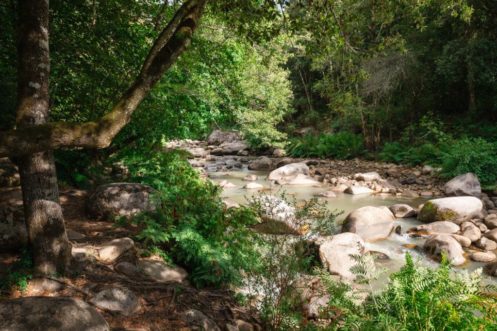 Saveurs du terroir corse : artisans et producteurs du pays d'Ajaccio