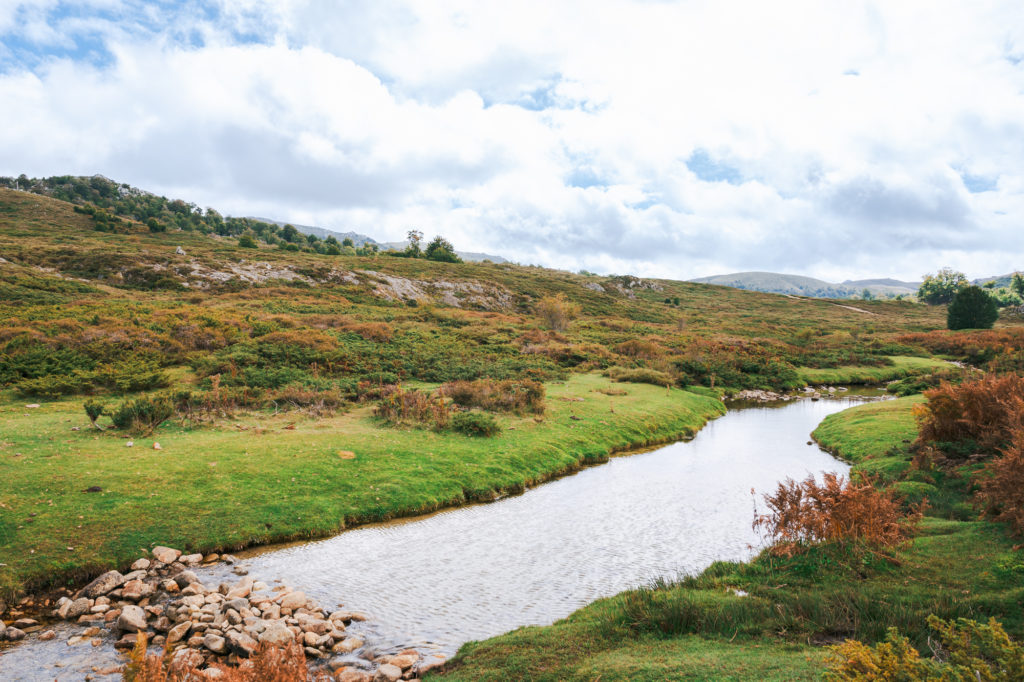 Voyager à Ajaccio à l'automne, entre mer et montagne, à la rencontre des artisans et producteurs : immersion dans le terroir corse et bonnes adresses!
