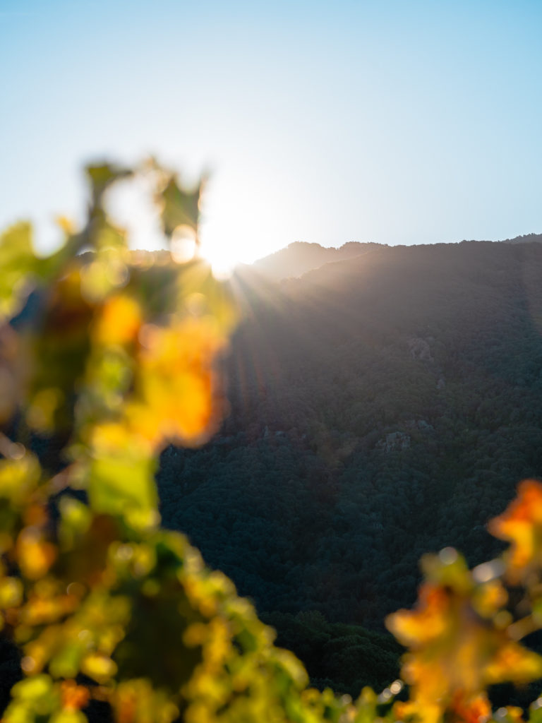 Bonnes adresses à Ajaccio : où dormir et où manger au sud de la Corse