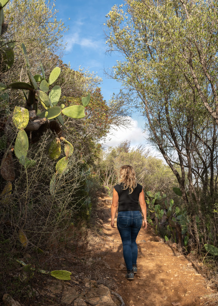 corse en automne : beauté de la corse hors saison, bonnes adresses et sports outdoor dans les montagnes