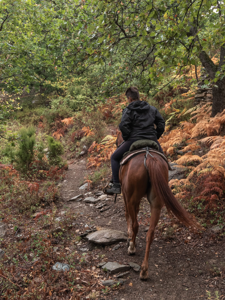 corse à l'automne : montagne, sports outdoor, bonnes adresses