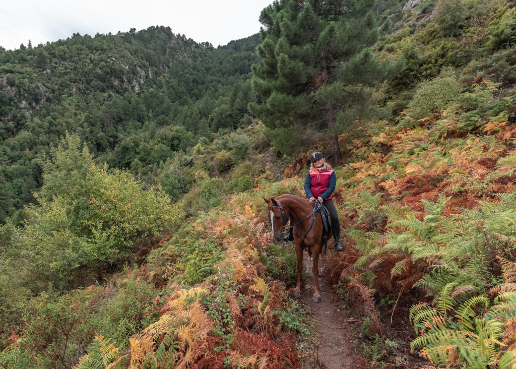 corse en automne : beauté de la corse hors saison, bonnes adresses et sports outdoor dans les montagnes