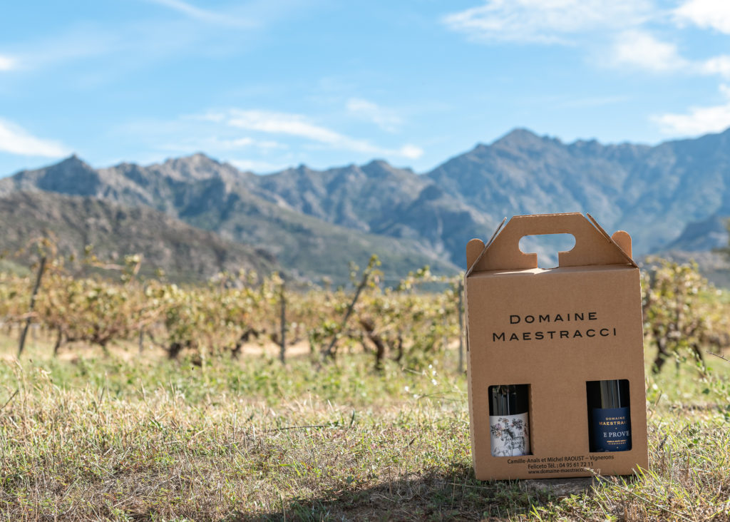 corse en automne : montagnes et vignobles