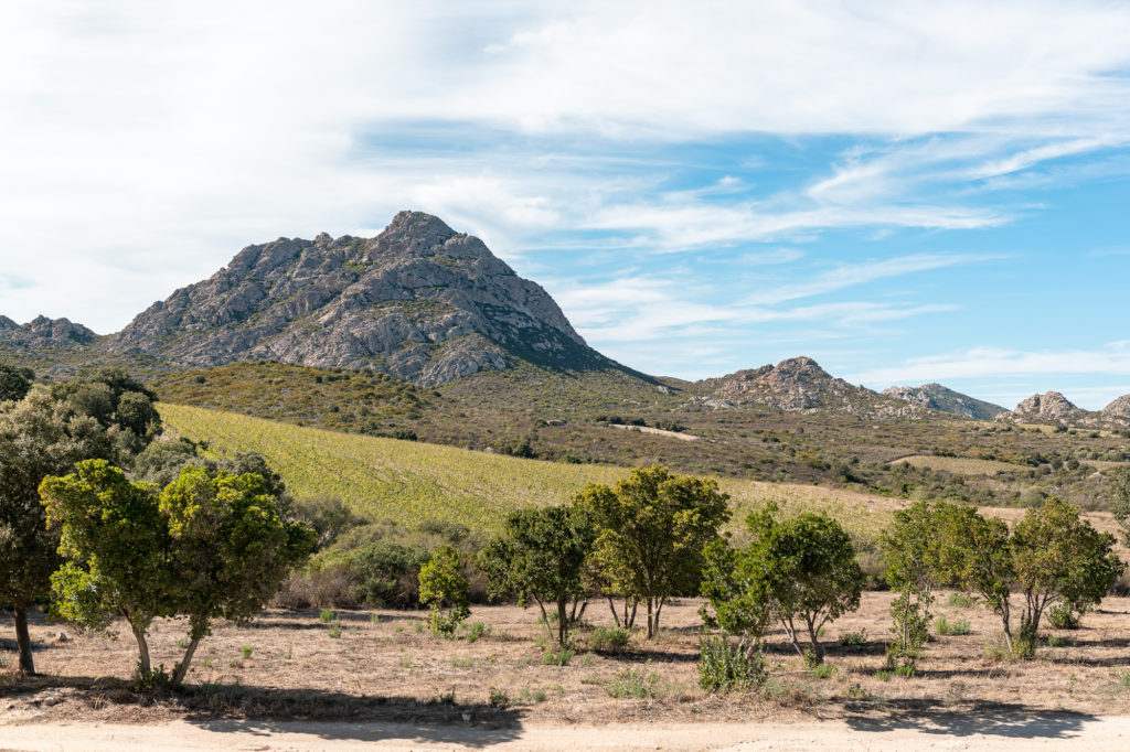 corse en automne : montagnes et vignobles