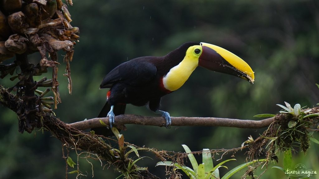 costa rica trop touristique ?
