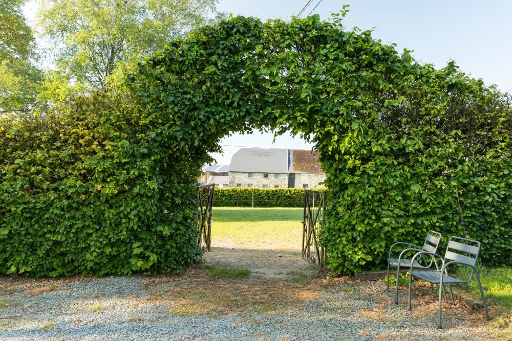 Une randonnée équestre au coeur de la grande forêt de St Hubert ? Partez à cheval en itinérance dans les bois de l'Ardenne.