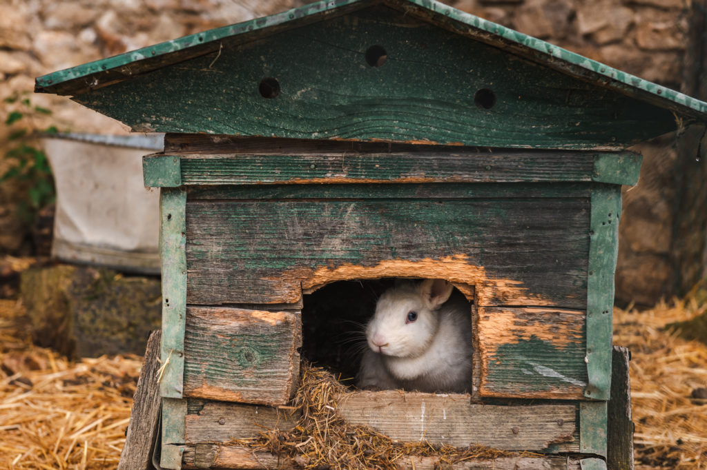 Que voir et que faire dans le Limousin, entre Creuse et Haute Vienne ? La ferme des Clautres