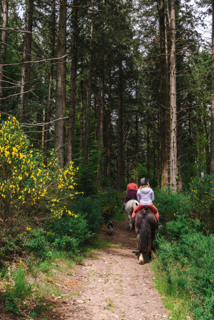 Que voir et que faire dans le Limousin, entre Creuse et Haute Vienne ? La Creuse à cheval