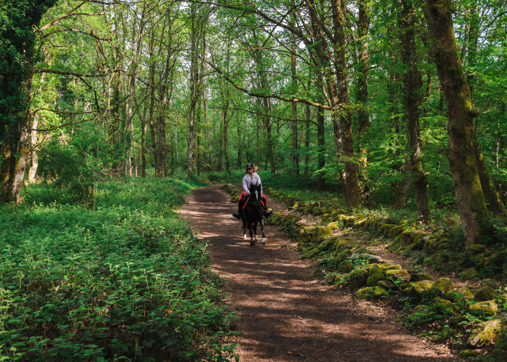 Que voir et que faire dans le Limousin, entre Creuse et Haute Vienne ? La Creuse à cheval