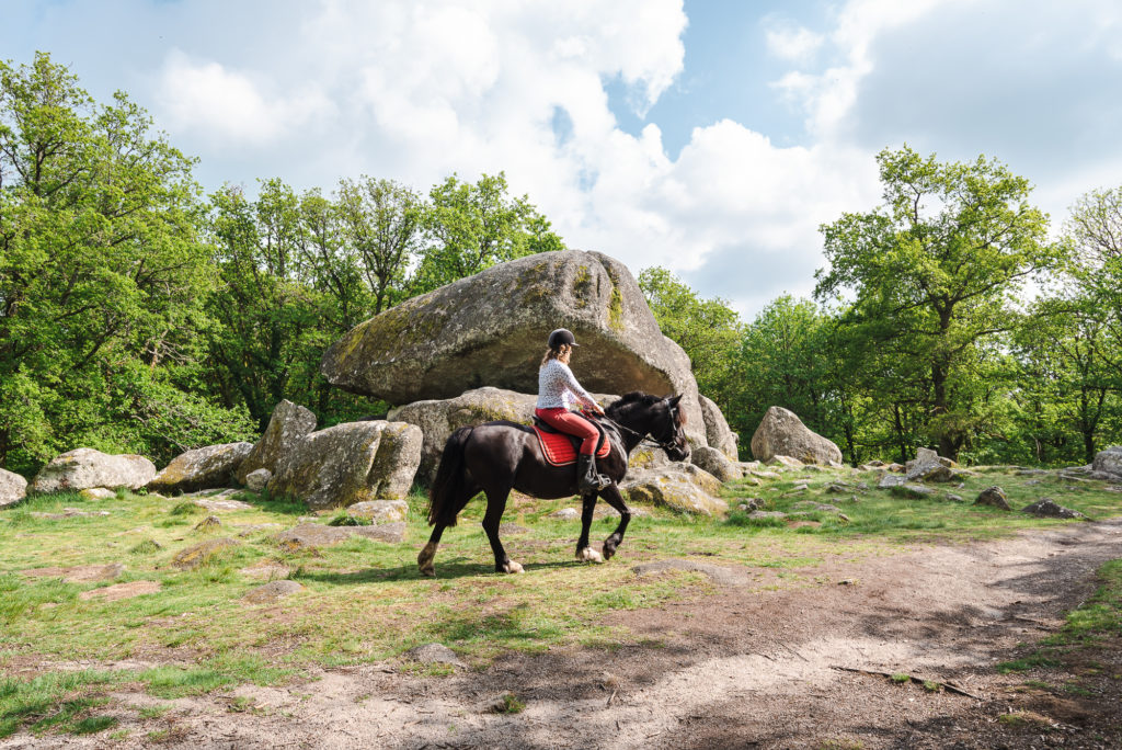 Que voir et que faire dans le Limousin, entre Creuse et Haute Vienne ? La Creuse à cheval