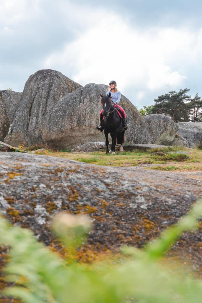 Que voir et que faire dans le Limousin, entre Creuse et Haute Vienne ? La Creuse à cheval