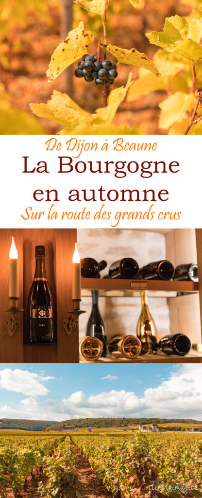 De Dijon à Beaune, prenons la route des vins de Bourgogne, entre grands crus et hôtels de luxe. Un séjour romantique au coeur de la Bourgogne