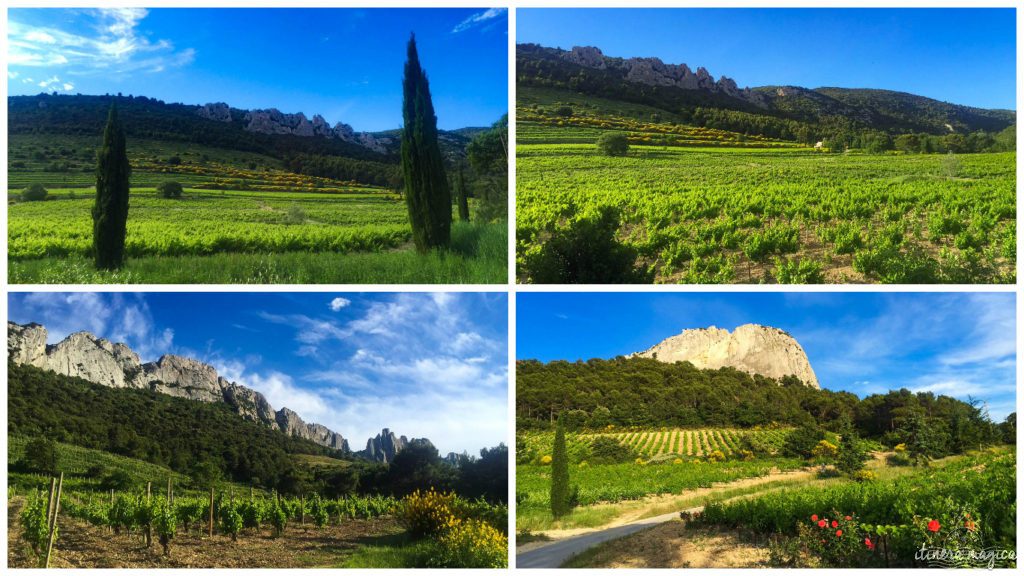 Dentelles de Montmirail