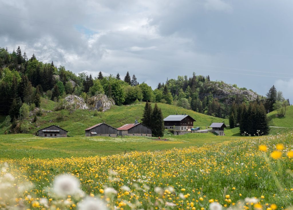 Que faire au pays de Môle et Brasses ? Un coin secret de Haute Savoie : activités insolites et bonnes adresses pour vivre la montagne autrement