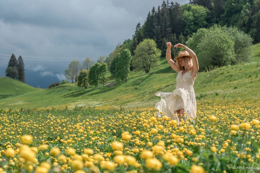 Môle et Brasses : Haute-Savoie secrète et expériences d&rsquo;exception