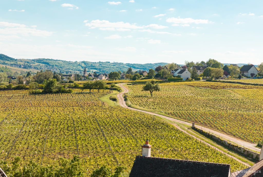 saone et loire