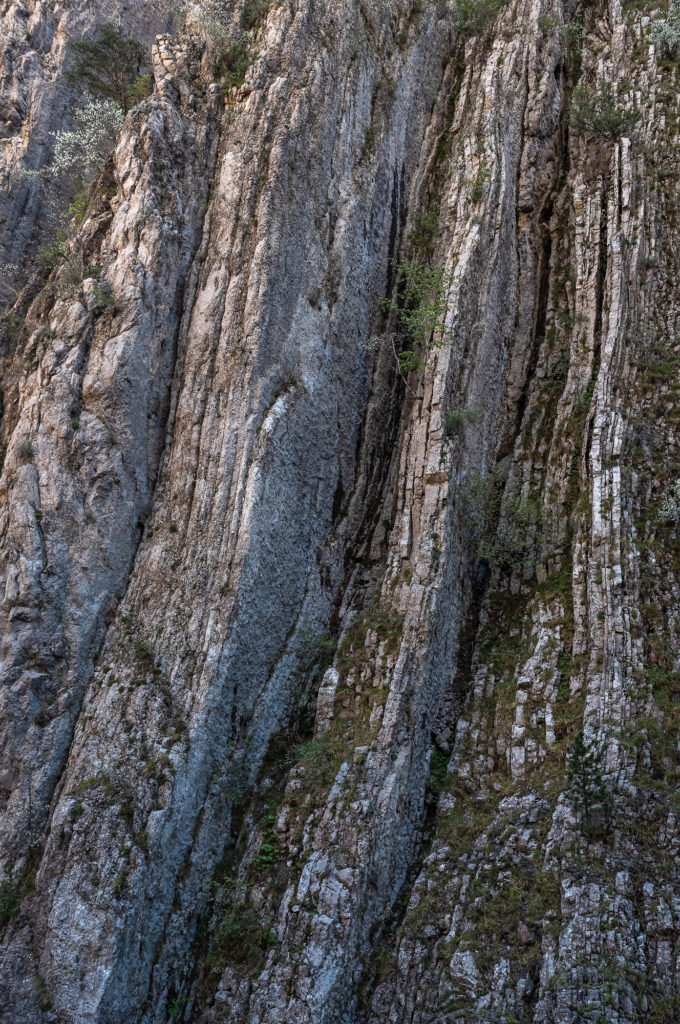 Visiter Digne les Bains et ses environs dans les Alpes de Haute Provence. Blog sur Digne les Bains. La dalle aux ammonites