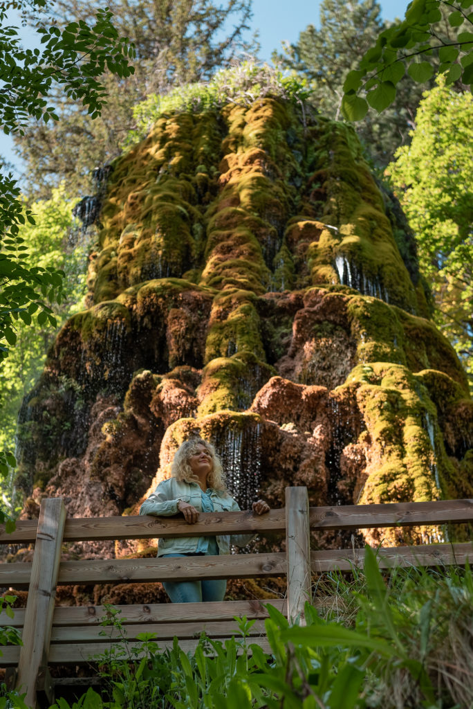 Visiter Digne les Bains et ses environs dans les Alpes de Haute Provence. Blog sur Digne les Bains. Le musée promenade et la fontaine pétrifiante