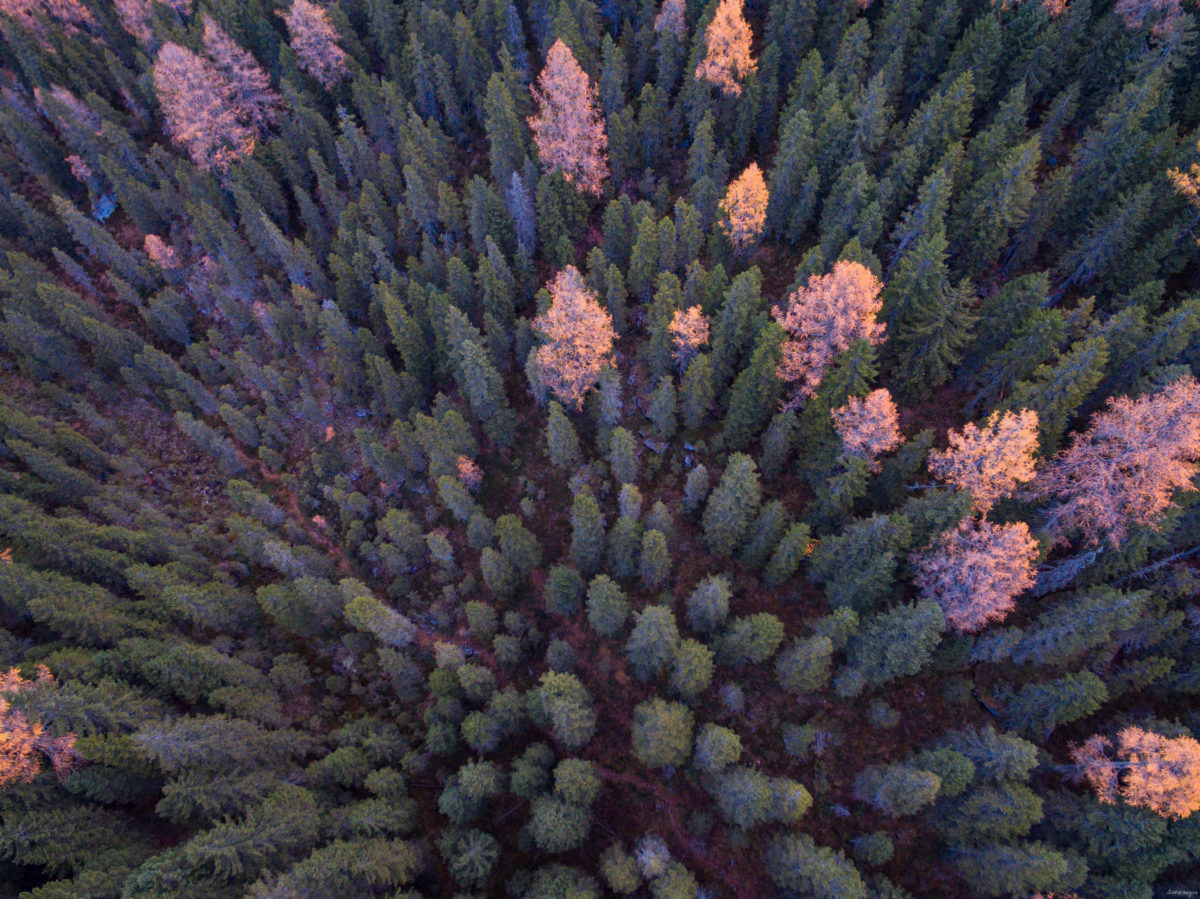 Découvrez les Dolomites à l'automne.