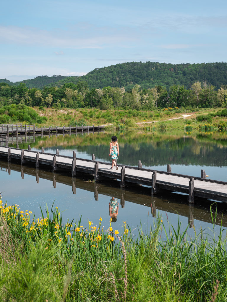 Que voir et que faire en vallée de la Dordogne, côté Corrèze ? Incontournables, sports outdoor, insolites et belles adresses autour d'Argentat-sur-Dordogne