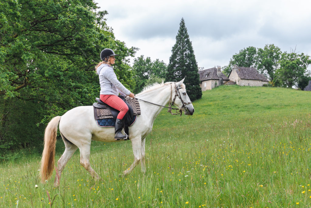 Que voir et que faire en vallée de la Dordogne, côté Corrèze ? Incontournables, sports outdoor, insolites et belles adresses autour d'Argentat-sur-Dordogne