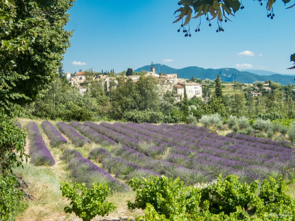 Mes plus beaux coins de Provence