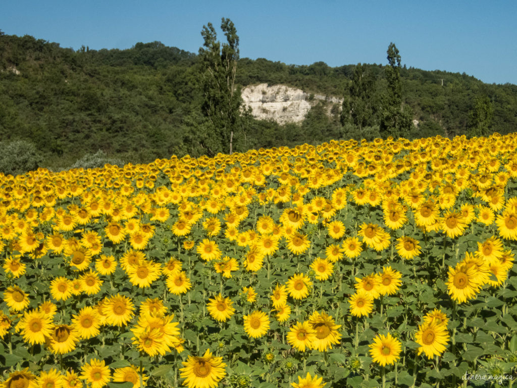 Must see in Provence: the best places to see in Provence, natural wonders of Provence