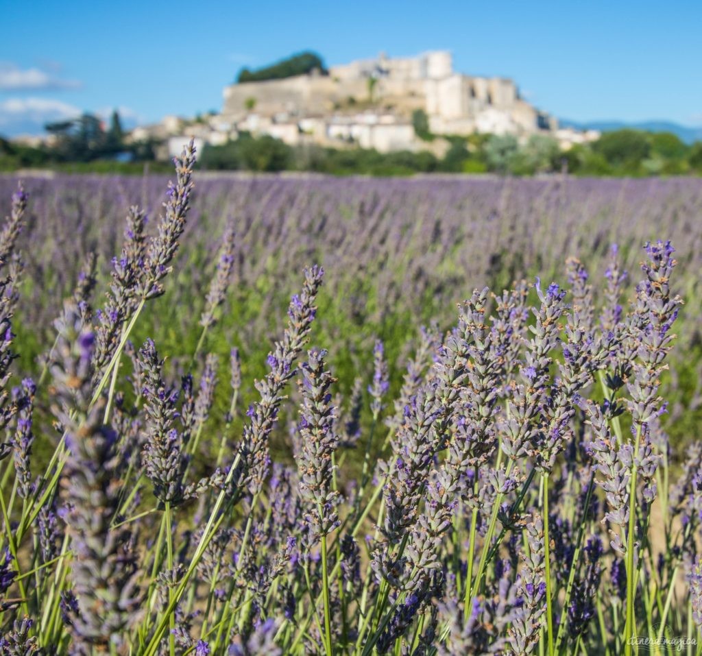 Must see in Provence: the best places to see in Provence, natural wonders of Provence